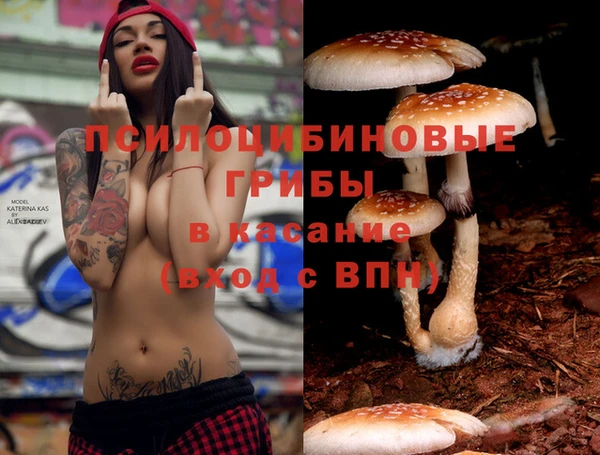 гидра Баксан