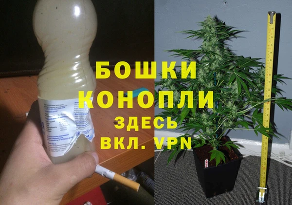 гидра Баксан