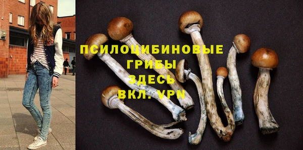 гидра Баксан