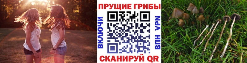 MEGA ссылки  Калининец  Псилоцибиновые грибы мухоморы 