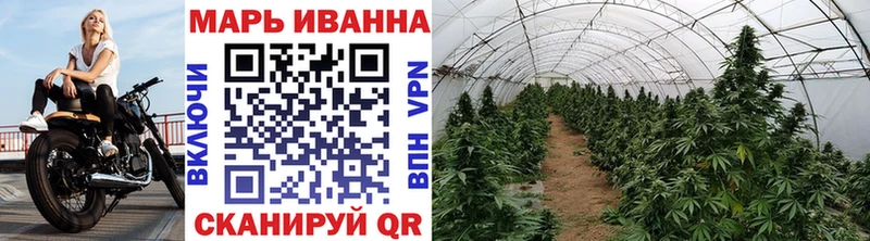 МАРИХУАНА индика Калининец